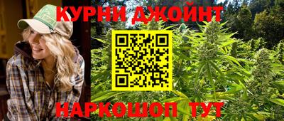 гидра Камень-на-Оби