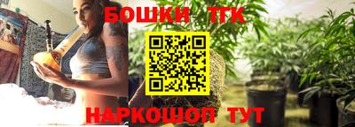 гидра Камень-на-Оби