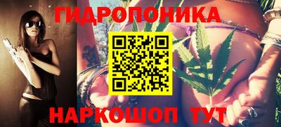 гидра Камень-на-Оби