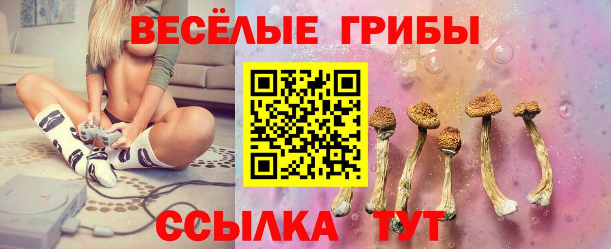 Галлюциногенные грибы MAGIC MUSHROOMS  Вход с VPN  Псилоцибиновые грибы Psilocybe  Вязьма 